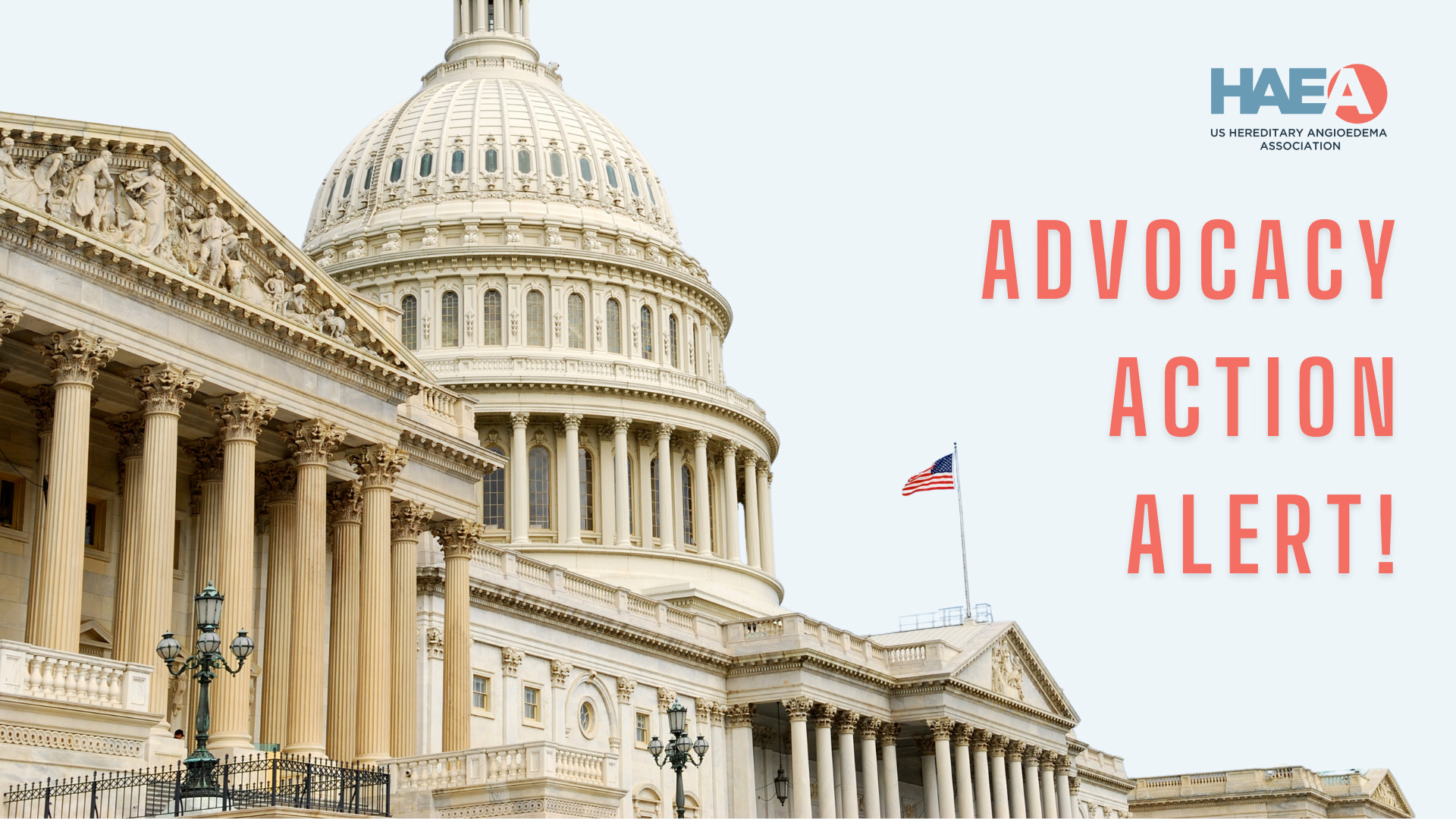 Shared Decision Making Tool