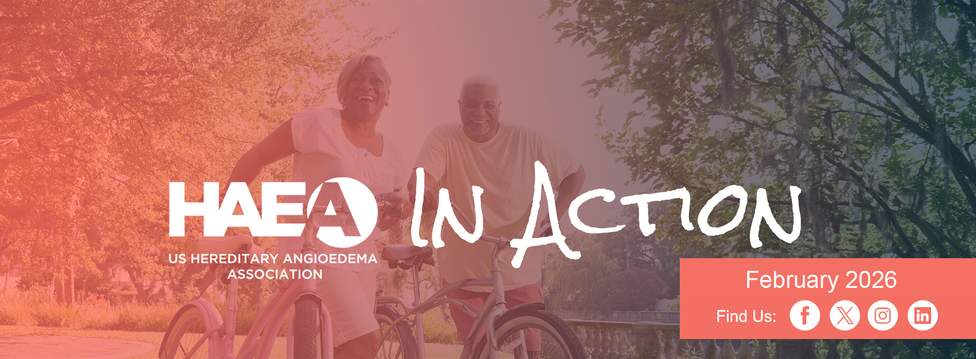 HAEA In Action Newsletter